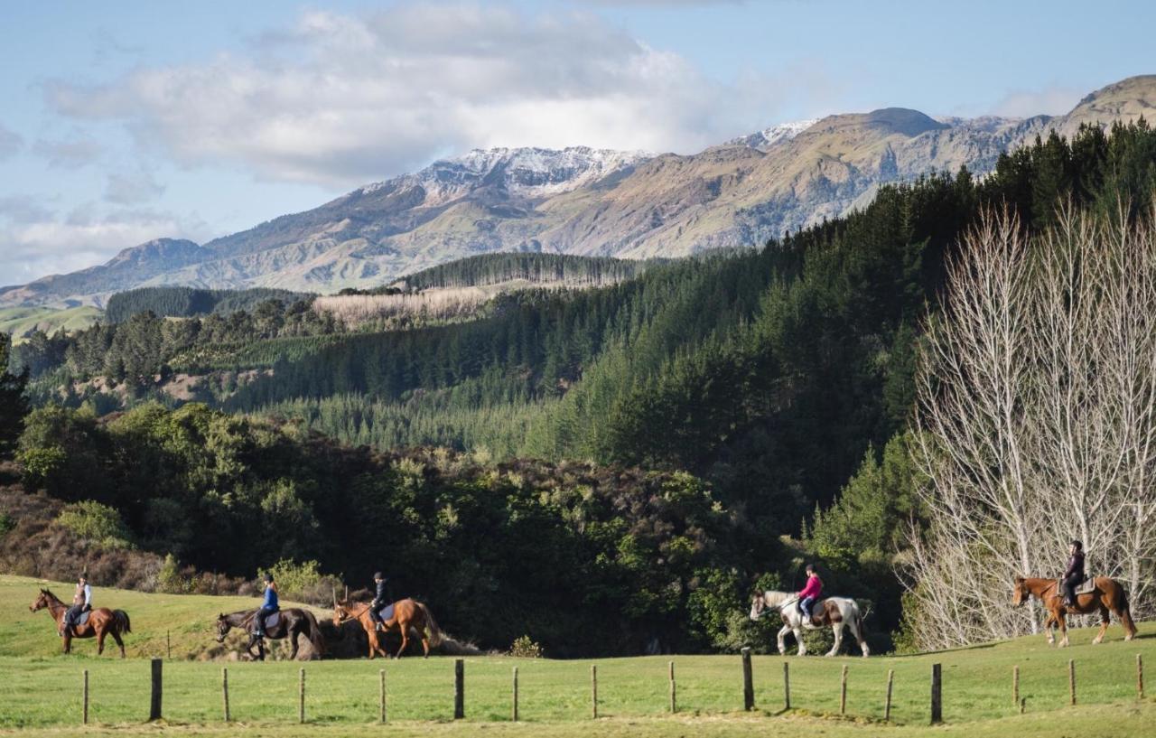 Mohaka River Farm Te Haroto Extérieur photo