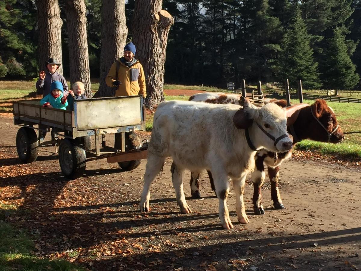 Mohaka River Farm Te Haroto Extérieur photo