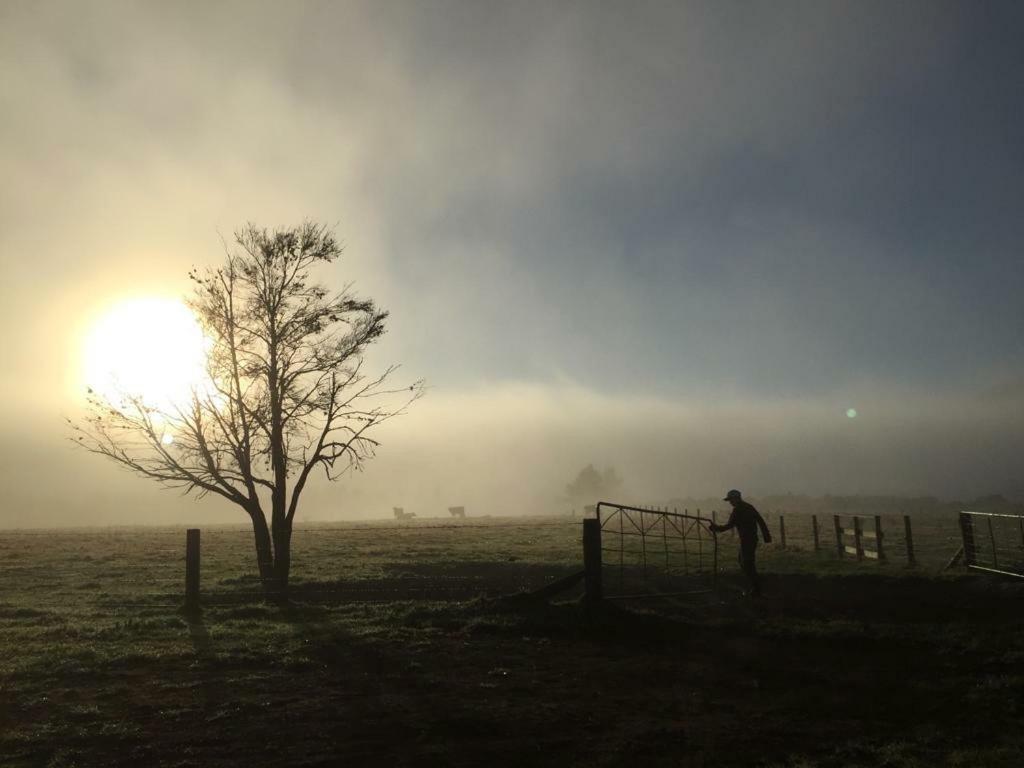 Mohaka River Farm Te Haroto Extérieur photo